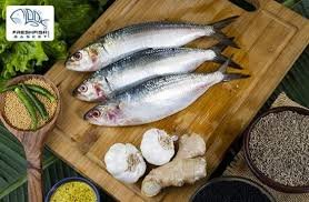 Indian Fresh Fish